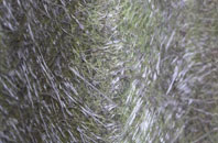 Cropton fibreglass roof work